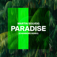 Thumbnail for the Martin Solveig - Paradise (Chambord Remix) link, provided by host site