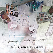 Thumbnail for the Peter Doherty - Paradise Is Under Your Nose (Radio Edit) link, provided by host site