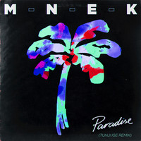 Thumbnail for the MNEK - Paradise (Tunji Ige Remix) link, provided by host site