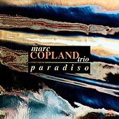 Image of Marc Copland linking to their artist page due to link from them being at the top of the main table on this page