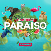 Thumbnail for the Manybeat - Paraiso link, provided by host site