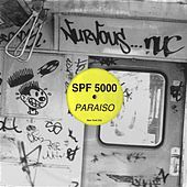 Thumbnail for the SPF 5000 - Paraiso link, provided by host site