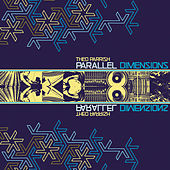 Thumbnail for the Theo Parrish - Parallel Dimensions link, provided by host site