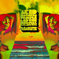 Thumbnail for the ACID MOTHERS TEMPLE - Paralyzed Genius Brain link, provided by host site