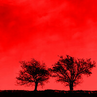 Thumbnail for the Jon Allen - Paranoia Blues link, provided by host site