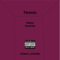 Thumbnail for the Siamese - Paranoia link, provided by host site