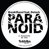 Thumbnail for the BreakZhead - Paranoid link, provided by host site
