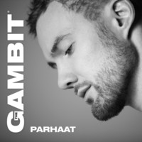 Image of The Gambit linking to their artist page due to link from them being at the top of the main table on this page