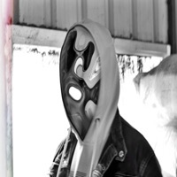 Thumbnail for the essence - Parichey link, provided by host site