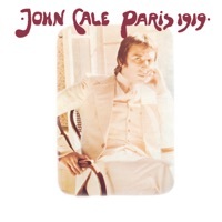 Thumbnail for the John Cale - Paris 1919 link, provided by host site