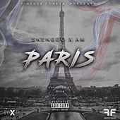 Thumbnail for the Skengdo - Paris link, provided by host site