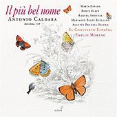 Thumbnail for the Robin Blaze - Part II: Chi sente di Elisa (Chorus) link, provided by host site