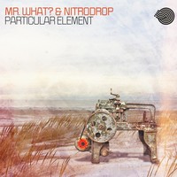 Thumbnail for the Mr.What? - Particular Element link, provided by host site