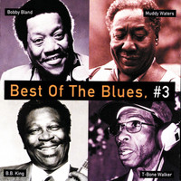 Thumbnail for the T-Bone Walker - Party Girl link, provided by host site
