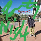 Thumbnail for the Steve-O - Party Night link, provided by host site