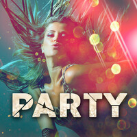 Thumbnail for the Quad City DJ's - Party Over Here link, provided by host site