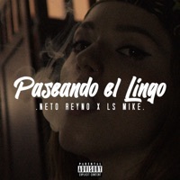 Thumbnail for the Neto Reyno - Paseando el Lingo link, provided by host site