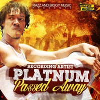 Thumbnail for the Platnum - Passed Away link, provided by host site