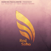 Thumbnail for the Hazem Beltagui - Passengers Remixed link, provided by host site