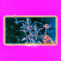 Thumbnail for the Aoife O'Donovan - Passengers (The Growth Eternal Remix) link, provided by host site