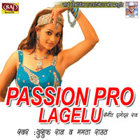 Thumbnail for the Damodar Raao - Passion Pro Lagelu link, provided by host site
