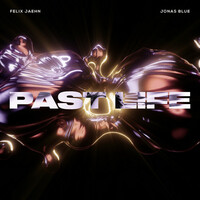 Thumbnail for the Felix Jaehn - Past Life link, provided by host site