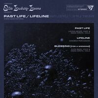Thumbnail for the Lavinia Meijer - Past Life I link, provided by host site