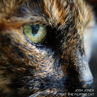 Thumbnail for the Josh Jones - Pat the Filipino Cat link, provided by host site