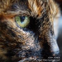 Thumbnail for the Josh Jones - Pat the Filipino Cat link, provided by host site