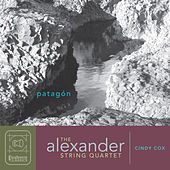 Thumbnail for the Alexander String Quartet - Patagón: IV. La tierra fria que duerme (The sleeping cold earth) link, provided by host site