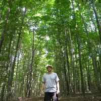 Thumbnail for the Postman - Path to the Reservoir link, provided by host site