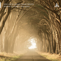 Thumbnail for the Zero Cult - Pathway To Eternity (Dub Remix) link, provided by host site