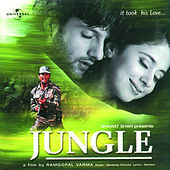 Thumbnail for the Sukhwinder Singh - Patli Kamar (Jungle / Soundtrack Version) link, provided by host site