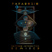Thumbnail for the Papadosio - Pattern Integrities: Remixed link, provided by host site