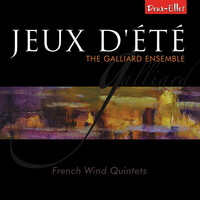 Thumbnail for the Paul Taffanel - Paul Taffanel: Quintet: Vivace link, provided by host site