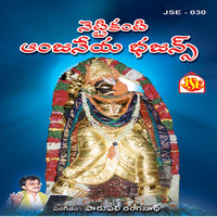 Thumbnail for the Muralidar - Pavanakumara link, provided by host site