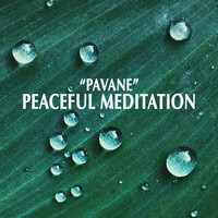 Thumbnail for the Johann Sebastian Bach - "Pavane" - Peaceful Meditation link, provided by host site