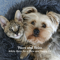 Thumbnail for the White Noise for Absolute Sleep - Paws and Relax: White Noise for a Calm and Happy Pet link, provided by host site