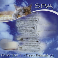 Thumbnail for the Midori - Peace link, provided by host site