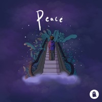 Thumbnail for the 2Shy - Peace link, provided by host site