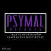 Thumbnail for the YROR - Peace in the Middle East link, provided by host site