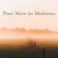 Thumbnail for the Zen Meditate - Peace Music for Meditation link, provided by host site