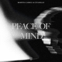 Thumbnail for the Martin Garrix - Peace Of Mind link, provided by host site