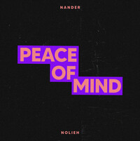 Thumbnail for the Nander - Peace Of Mind link, provided by host site
