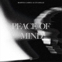 Thumbnail for the Martin Garrix - Peace of Mind link, provided by host site