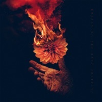 Thumbnail for the Wolves At the Gate - Peace That Starts the War link, provided by host site