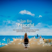 Thumbnail for the Tom Bro - Peaceful (Aaron Dmitriew Vocal Remix) link, provided by host site