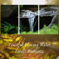 Thumbnail for the Spa - Peaceful Flowing Water Forest Ambience link, provided by host site