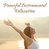 Thumbnail for the The Rest - Peaceful Instrumental Relaxation link, provided by host site