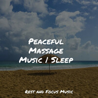 Thumbnail for the Relaxing Mindfulness Meditation Relaxation Maestro - Peaceful Massage Music | Sleep link, provided by host site